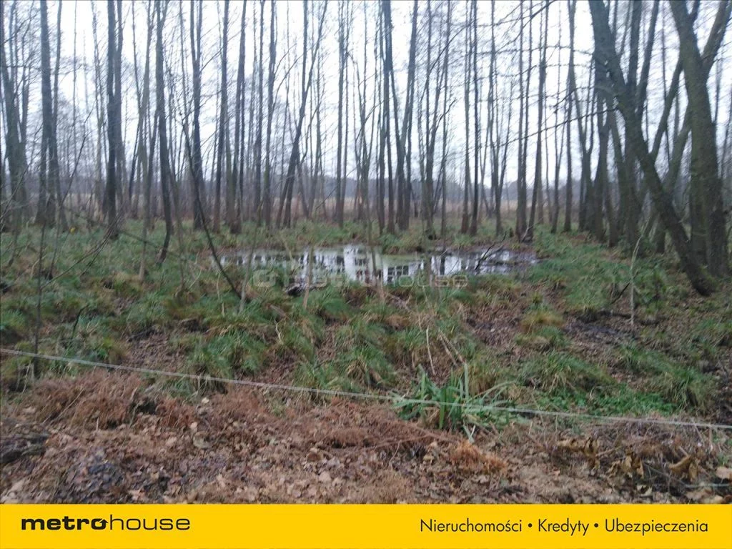 FOGI791 - zdjęcie nr 2