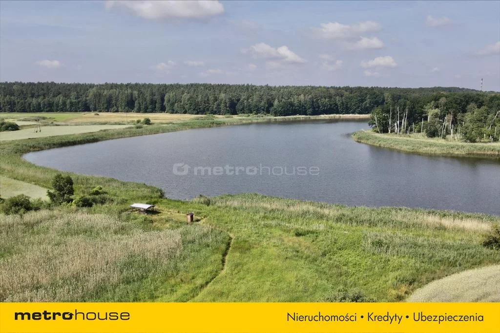 Działka 22 500,00 m², oferta nr , REBO211, Dziarny