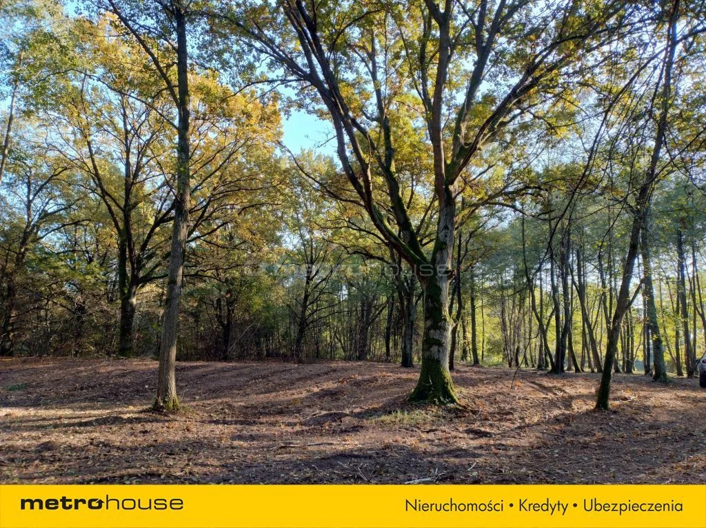 Działka 7 504,00 m², oferta nr , SGSIBU410, Dzierżenin