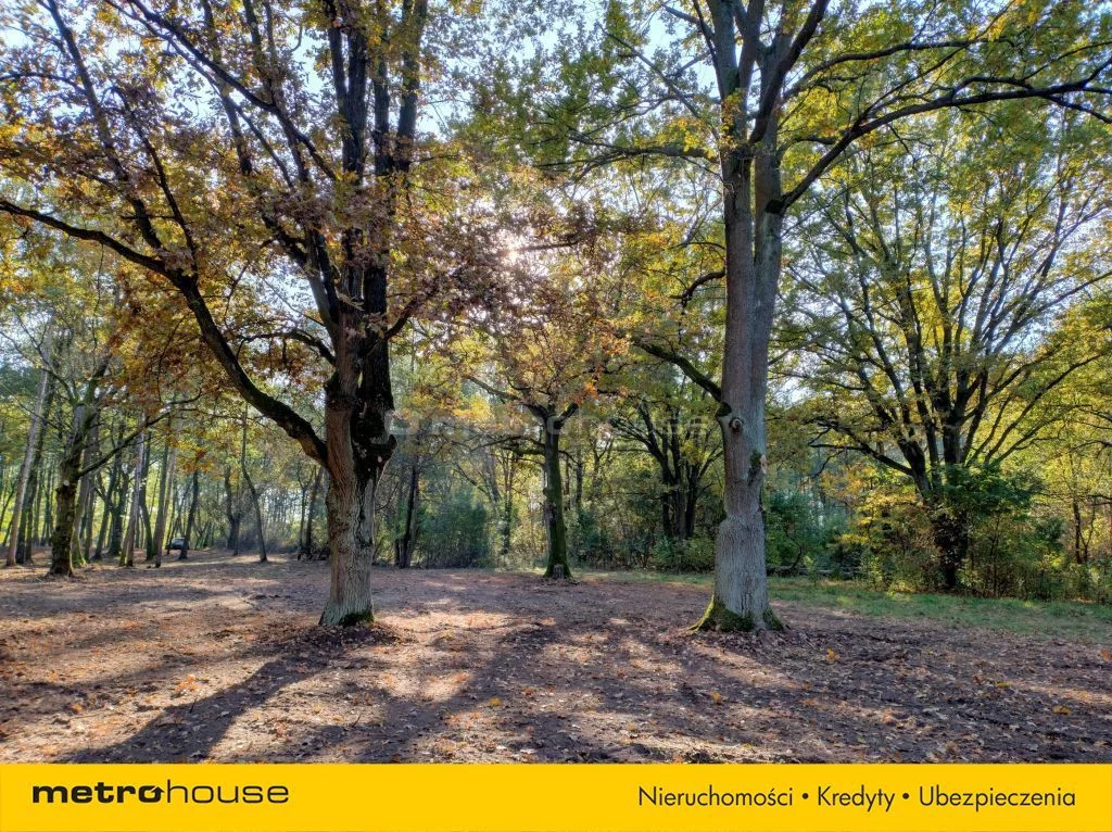 Działka 7 504,00 m², oferta nr , SGSIBU410, Dzierżenin