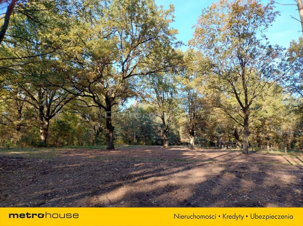 Działka 7 504,00 m², oferta nr , SGSIBU410, Dzierżenin