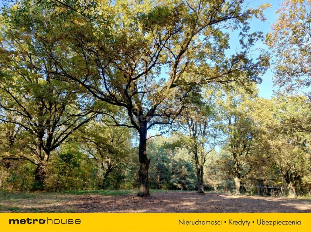 Działka 7 504,00 m², oferta nr , SGSIBU410, Dzierżenin