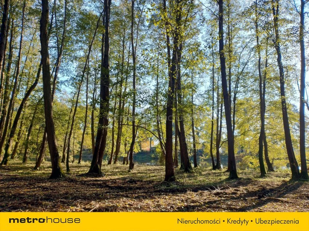 Działka 7 504,00 m², oferta nr , SGSIBU410, Dzierżenin