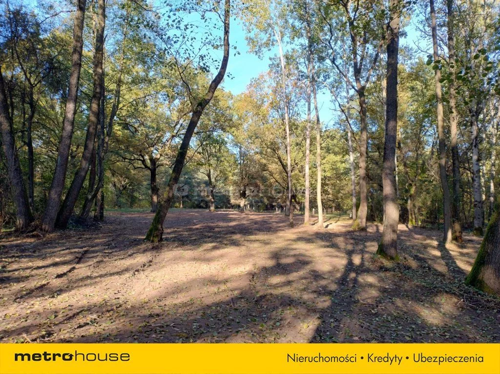 Działka 7 504,00 m², oferta nr , SGSIBU410, Dzierżenin