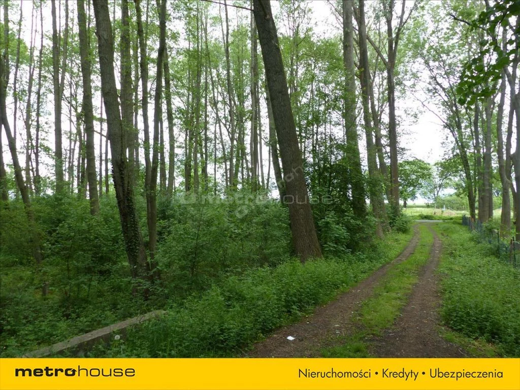 Działka 14 856,00 m², oferta nr , XEWI181, Dzietrzychowice
