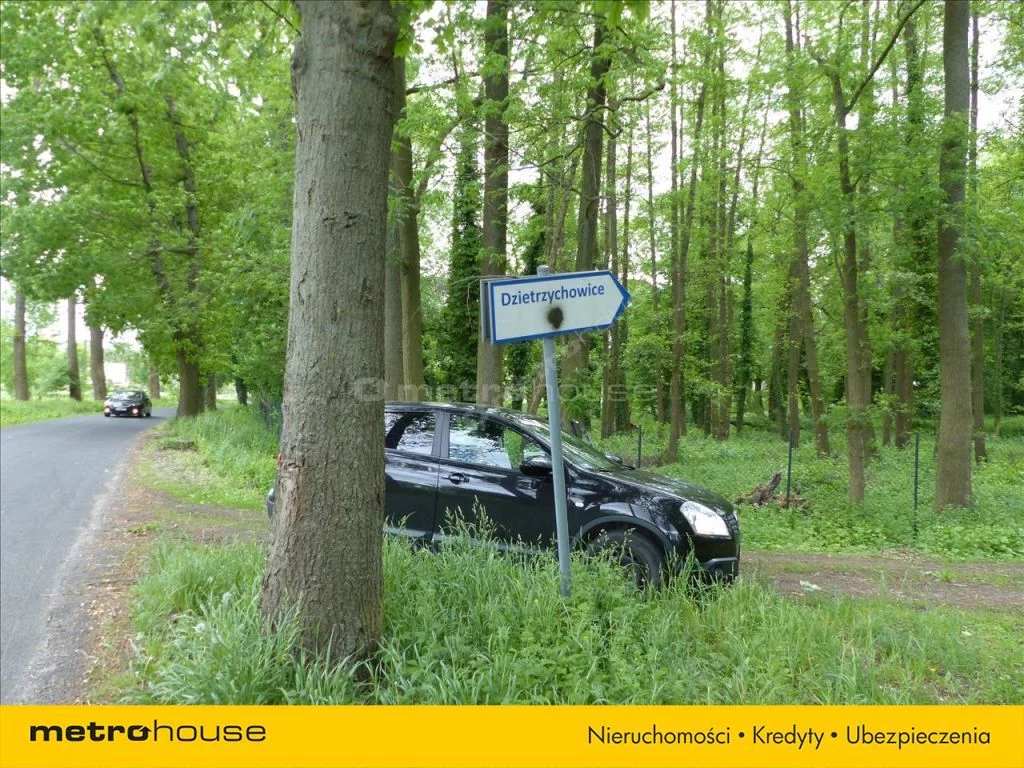 Działka 14 856,00 m², oferta nr , XEWI181, Dzietrzychowice
