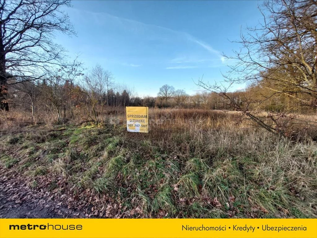 Działka 14 856,00 m², oferta nr , XEWI181, Dzietrzychowice