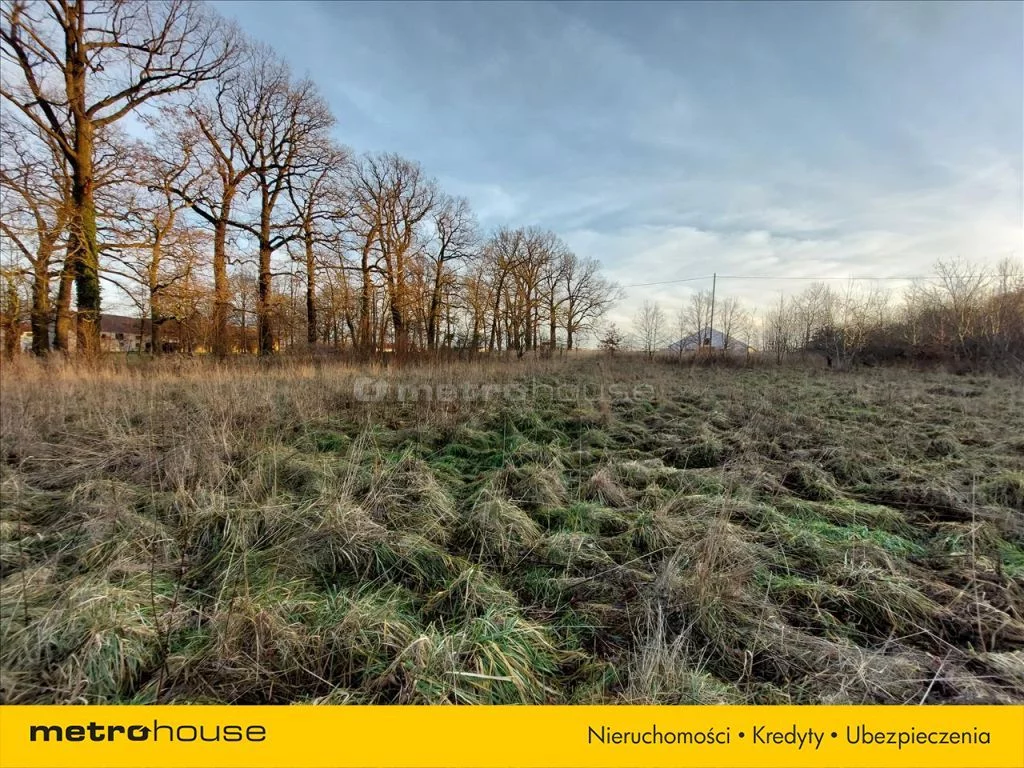 Działka 14 856,00 m², oferta nr , XEWI181, Dzietrzychowice