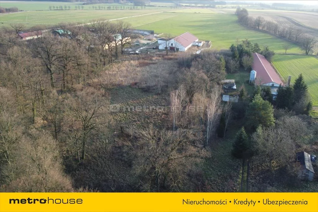 Działka 14 856,00 m², oferta nr , XEWI181, Dzietrzychowice