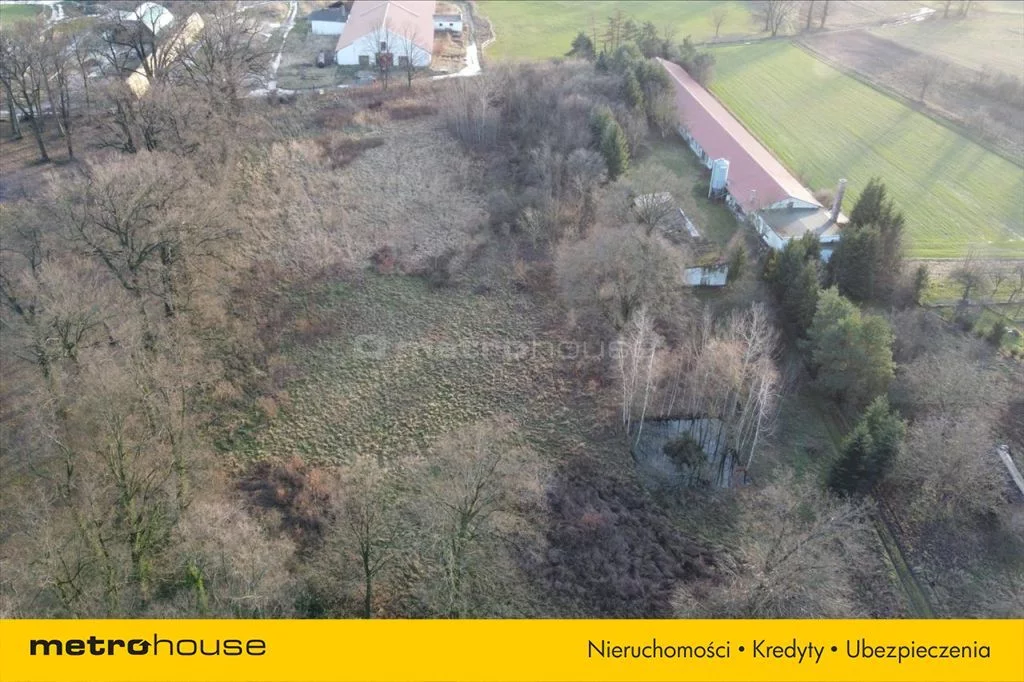 Działka 14 856,00 m², oferta nr , XEWI181, Dzietrzychowice