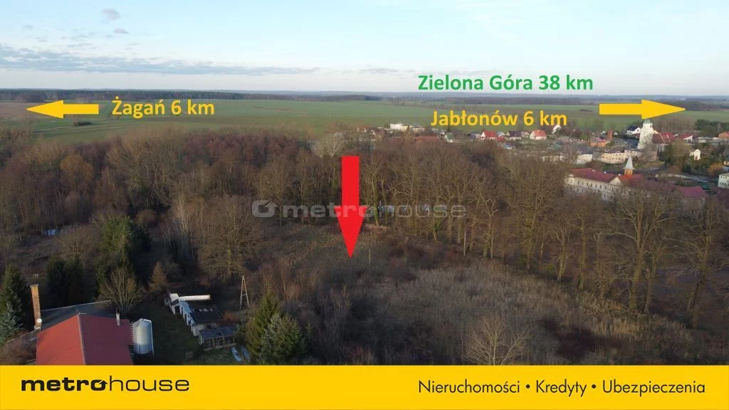 Działka 14 856,00 m², oferta nr , XEWI181, Dzietrzychowice
