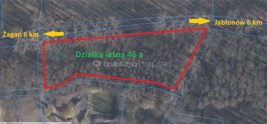 Działka 4 600,00 m², oferta nr , RELU265, Dzietrzychowice