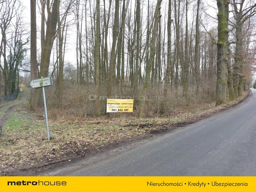 Działka 3 826,00 m², oferta nr , SGLISY213, Dzietrzychowice
