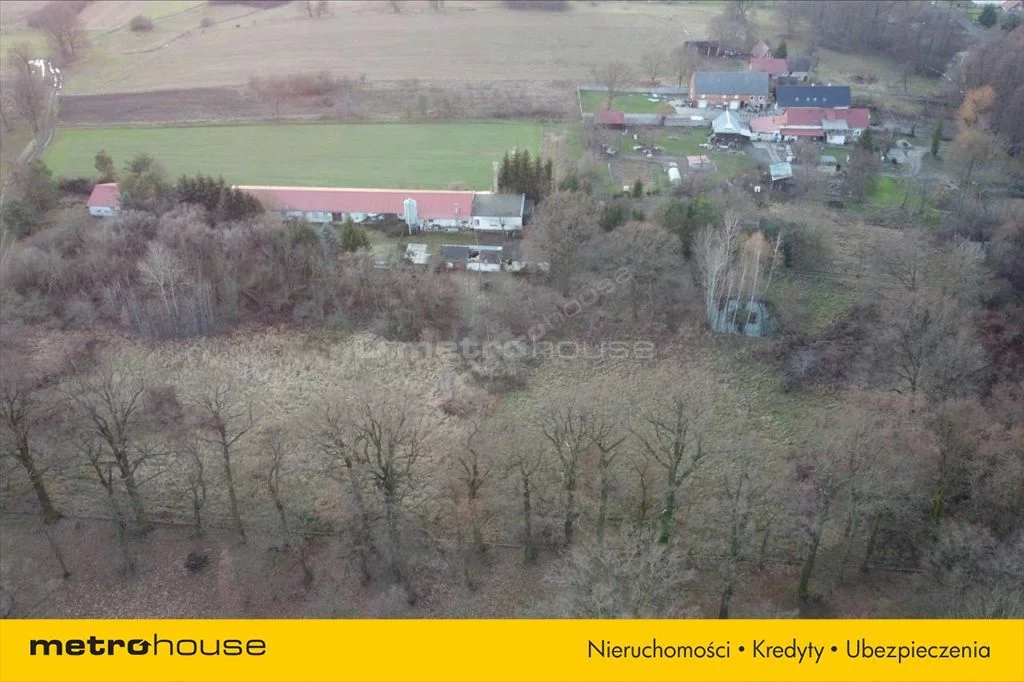 Działka 3 826,00 m², oferta nr , SGLISY213, Dzietrzychowice