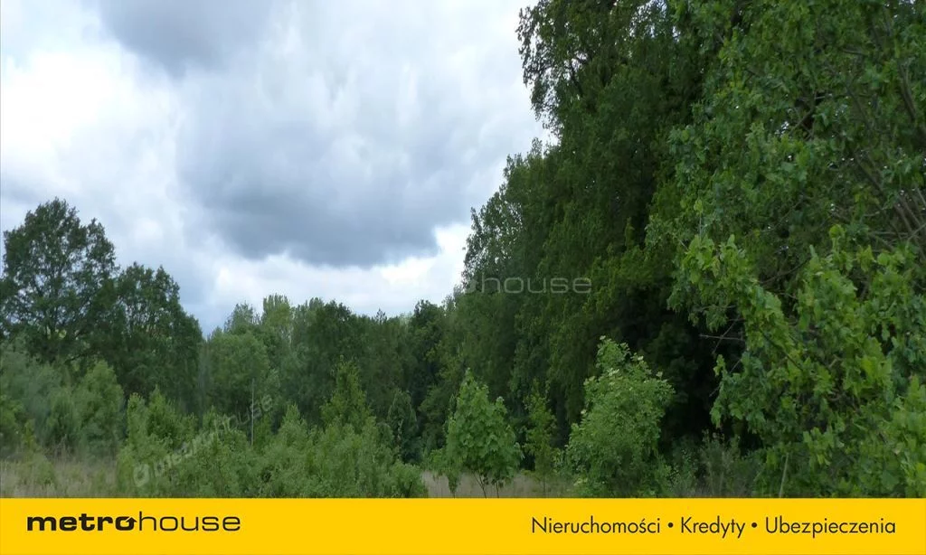 Działka 3 826,00 m², oferta nr , SGLISY213, Dzietrzychowice