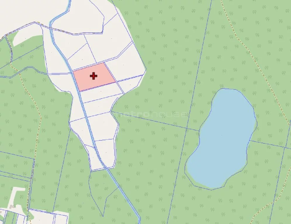 Działka 13 500,00 m², oferta nr , METE761, Elganowo