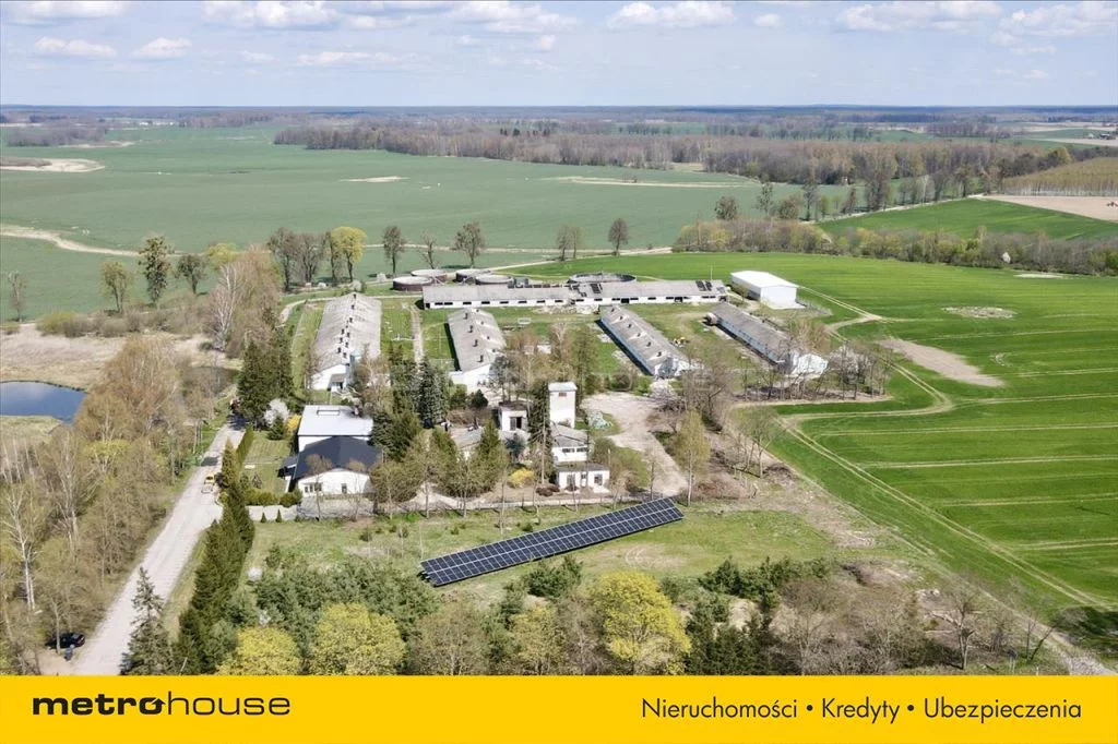 Działka 10 000,00 m², oferta nr , NEWA473, Falknowo