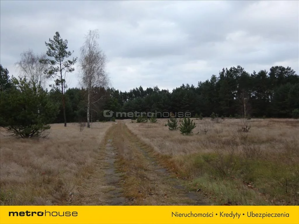 Działka 2 100,00 m², oferta nr , NAJA299, Famułki Brochowskie