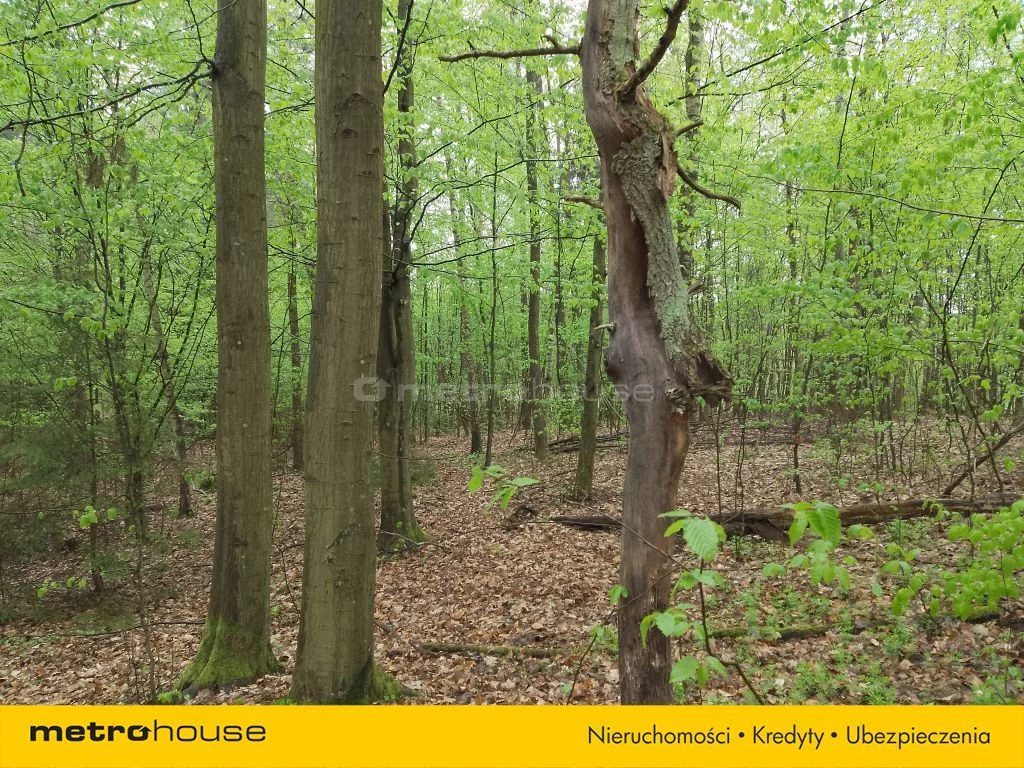 Działka 10 900,00 m², oferta nr , SGZECY360, Florczaki