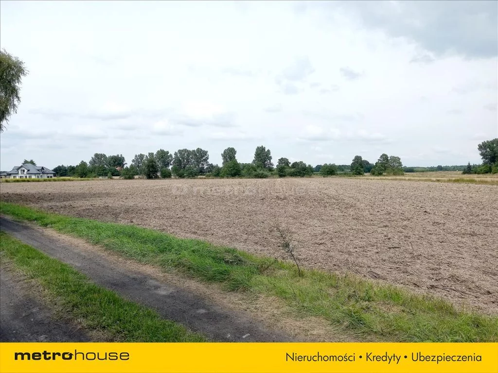 Działka 3 008,00 m², oferta nr , BOCA694, Florentynów