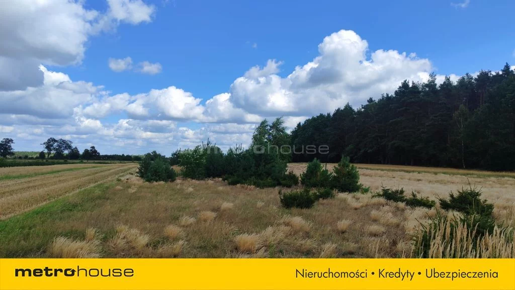 Działka 2 389,00 m², oferta nr , SGBOMO789, Franciszkany