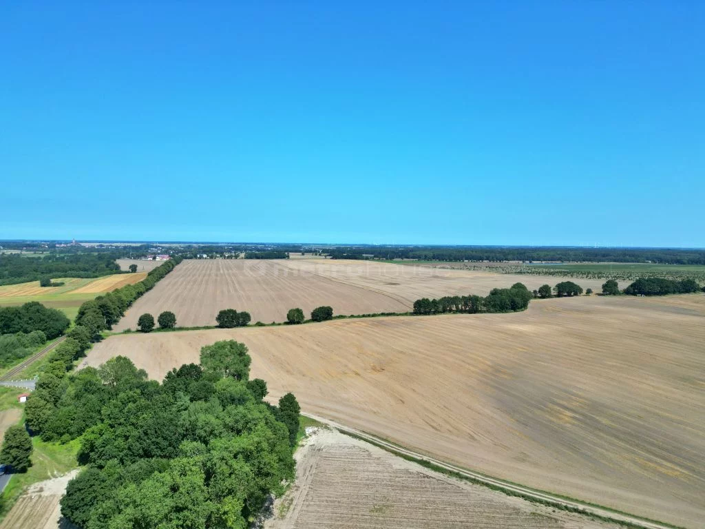 SGVOSI648 - zdjęcie nr 4
