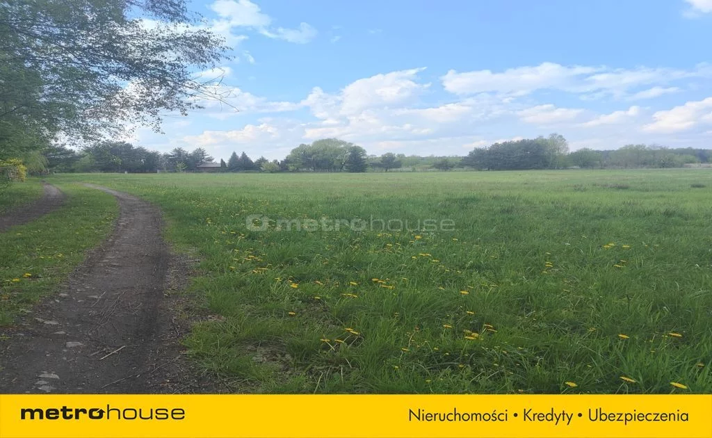 Działka 6 800,00 m², oferta nr , SGBONA271, Gadka