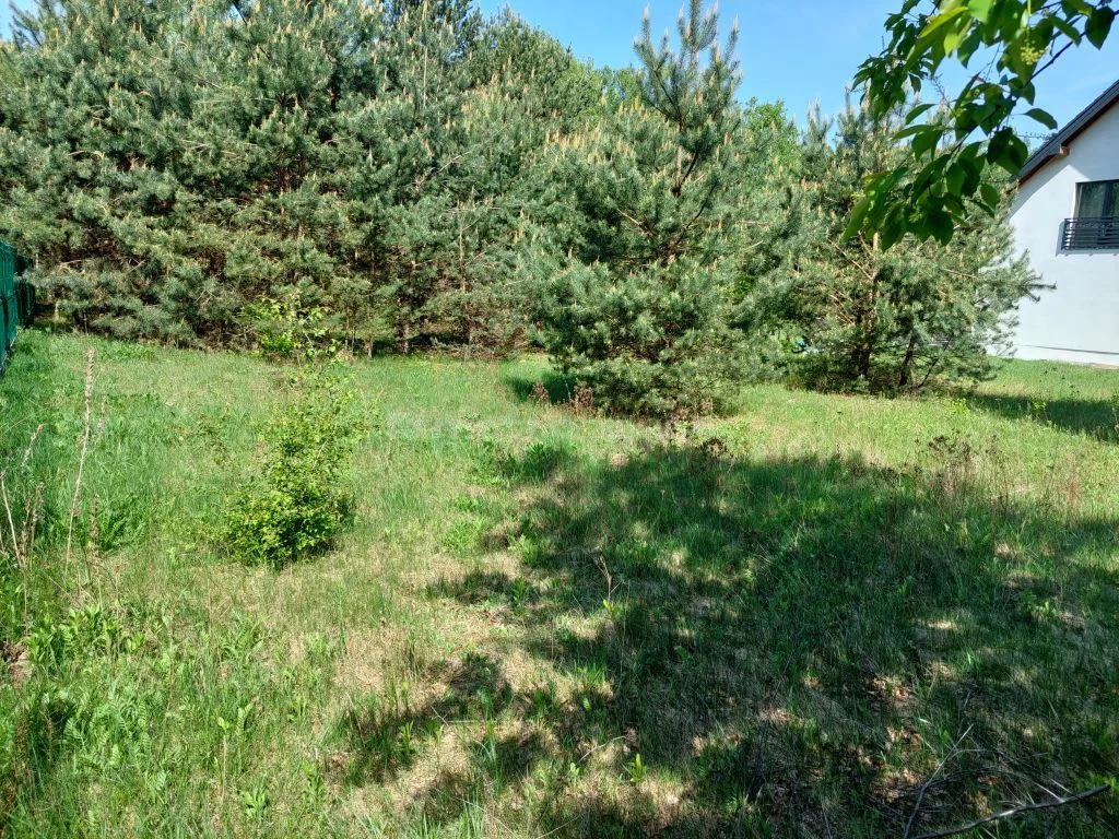 SGBANA938 - zdjęcie nr 2