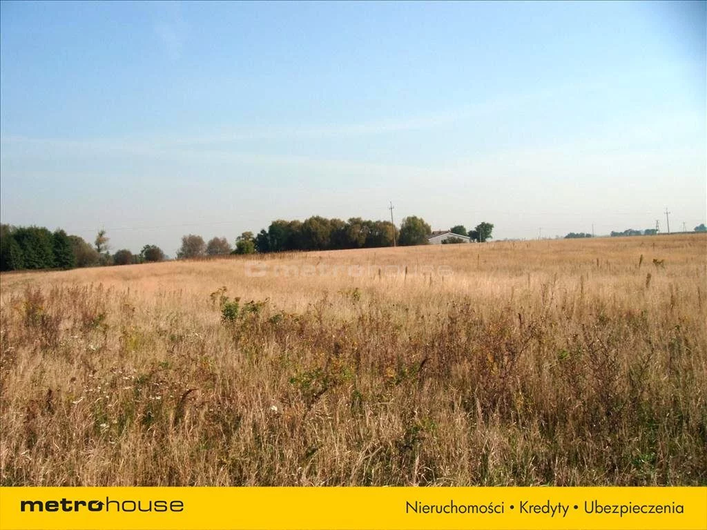 Działka 16 675,00 m², oferta nr , TIJA296, Gortatowo