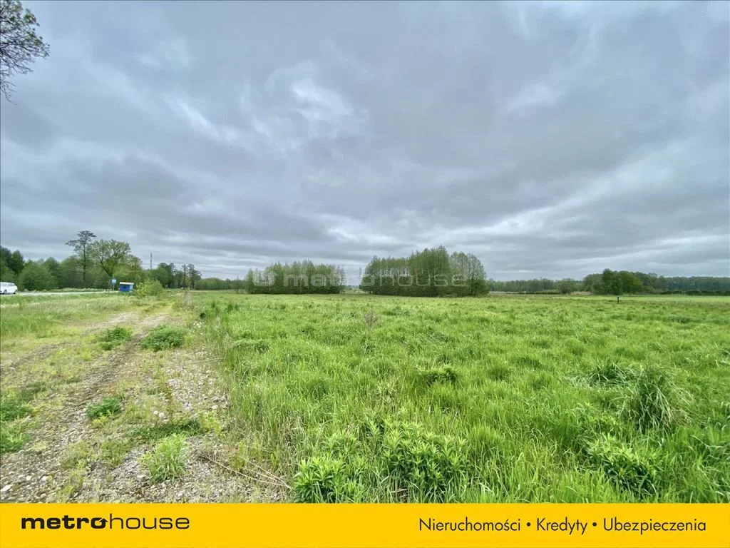 Działka 29 595,00 m², oferta nr , WOZA765, Gostchorz