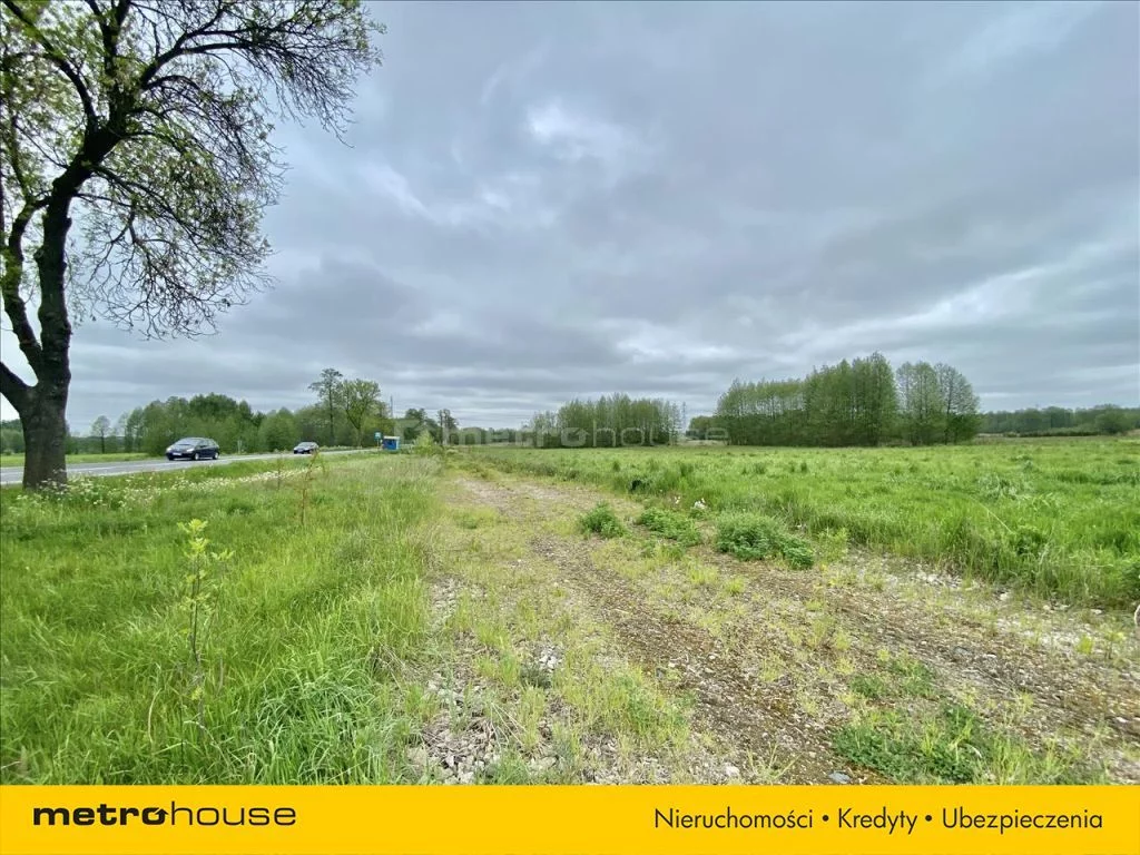 Działka 29 595,00 m², oferta nr , WOZA765, Gostchorz