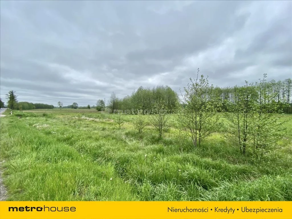 Działka 29 595,00 m², oferta nr , WOZA765, Gostchorz