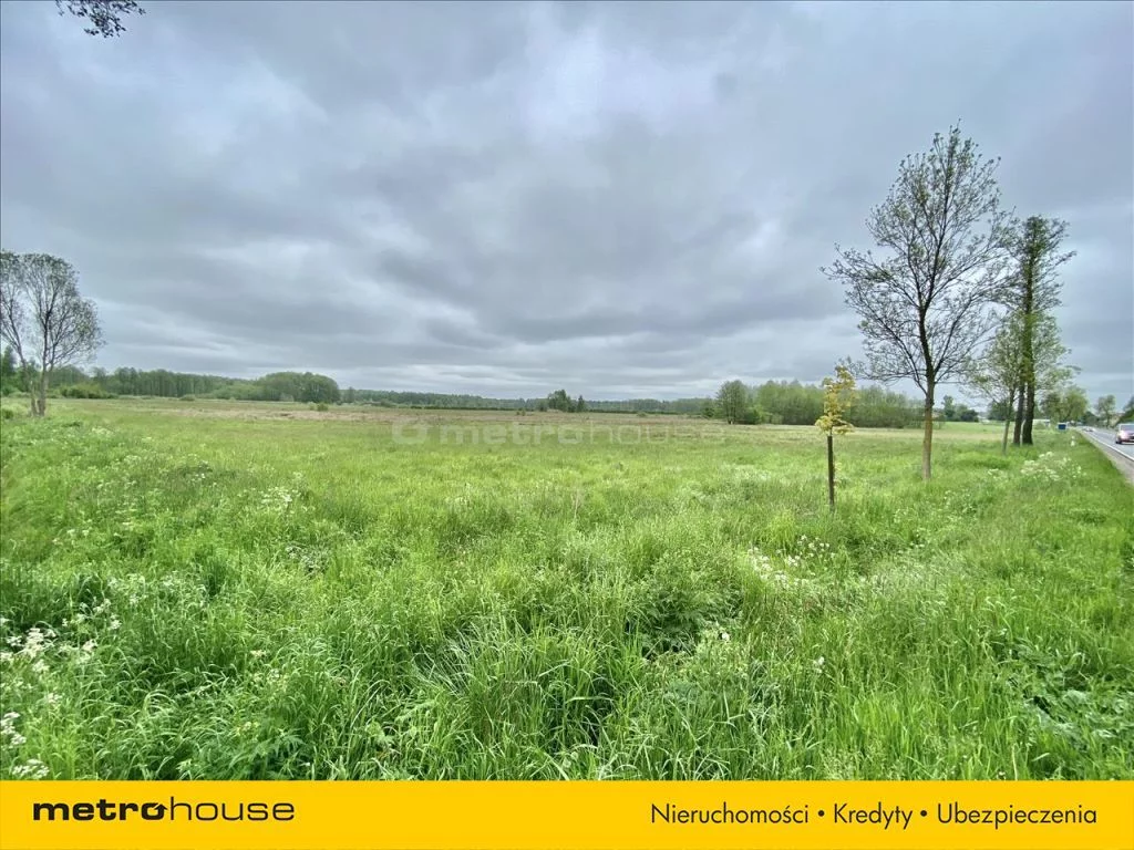 Działka 29 595,00 m², oferta nr , WOZA765, Gostchorz