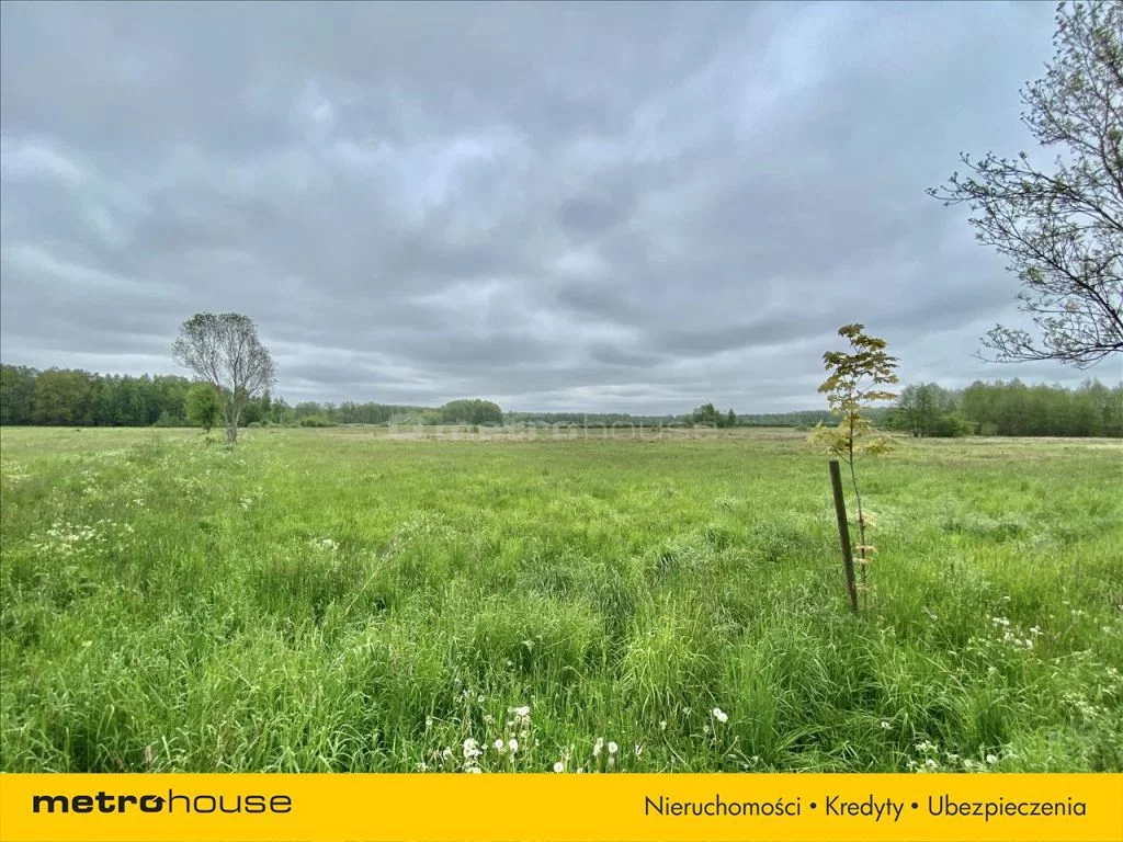 Działka 29 595,00 m², oferta nr , WOZA765, Gostchorz