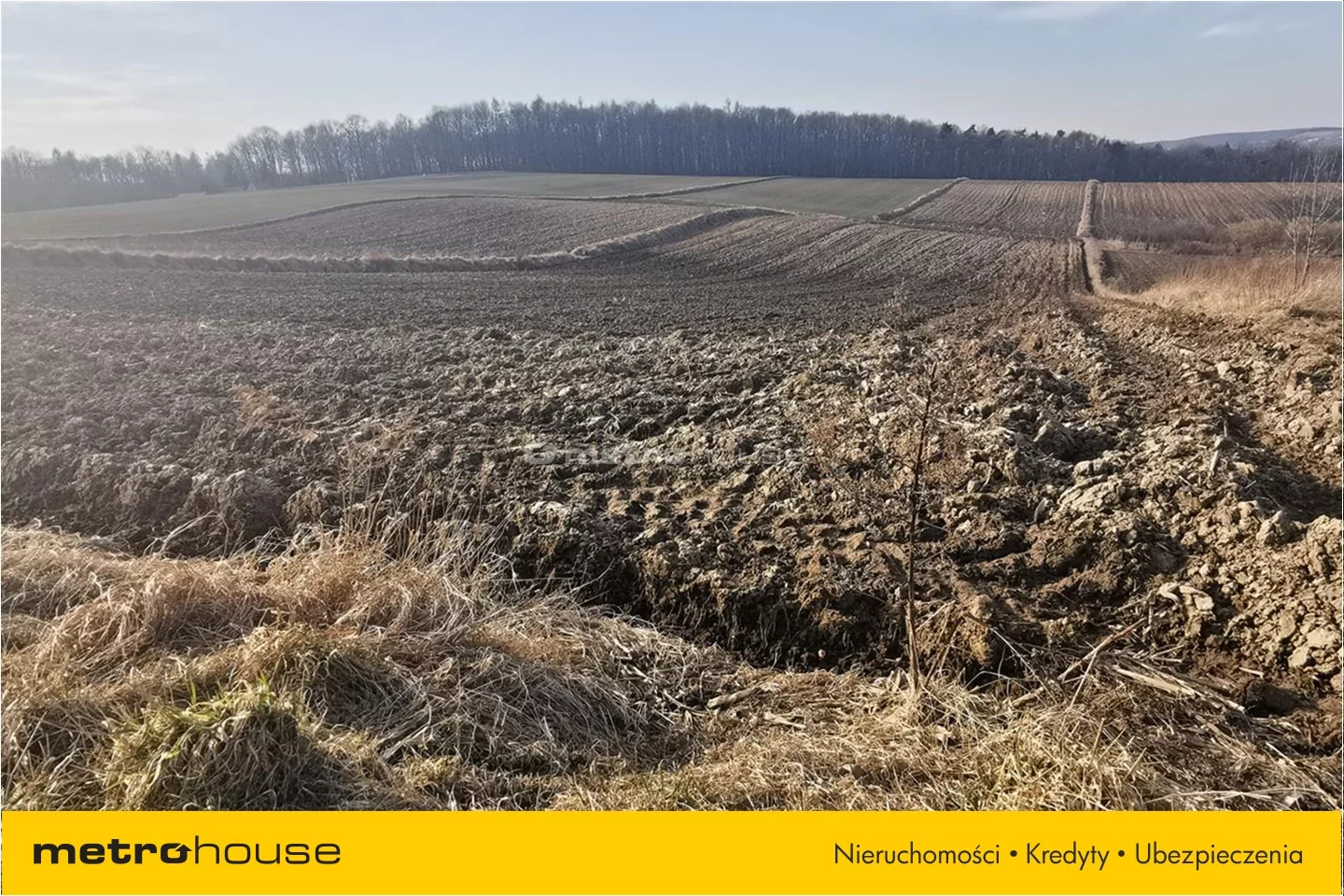 Działka 9 380,00 m², oferta nr , BUTU676, Goszyce