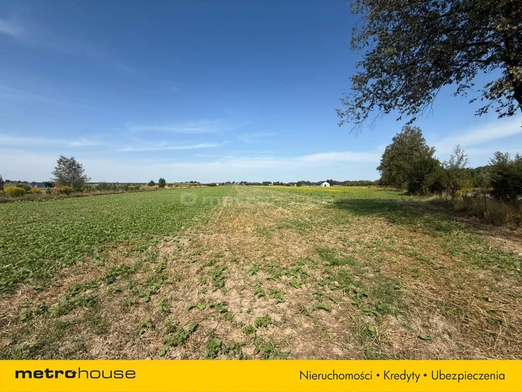 Działka 931,00 m², oferta nr , SGLAGA558, Grabanów-Kolonia