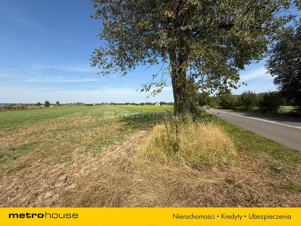 Działka 931,00 m², oferta nr , SGLAGA558, Grabanów-Kolonia