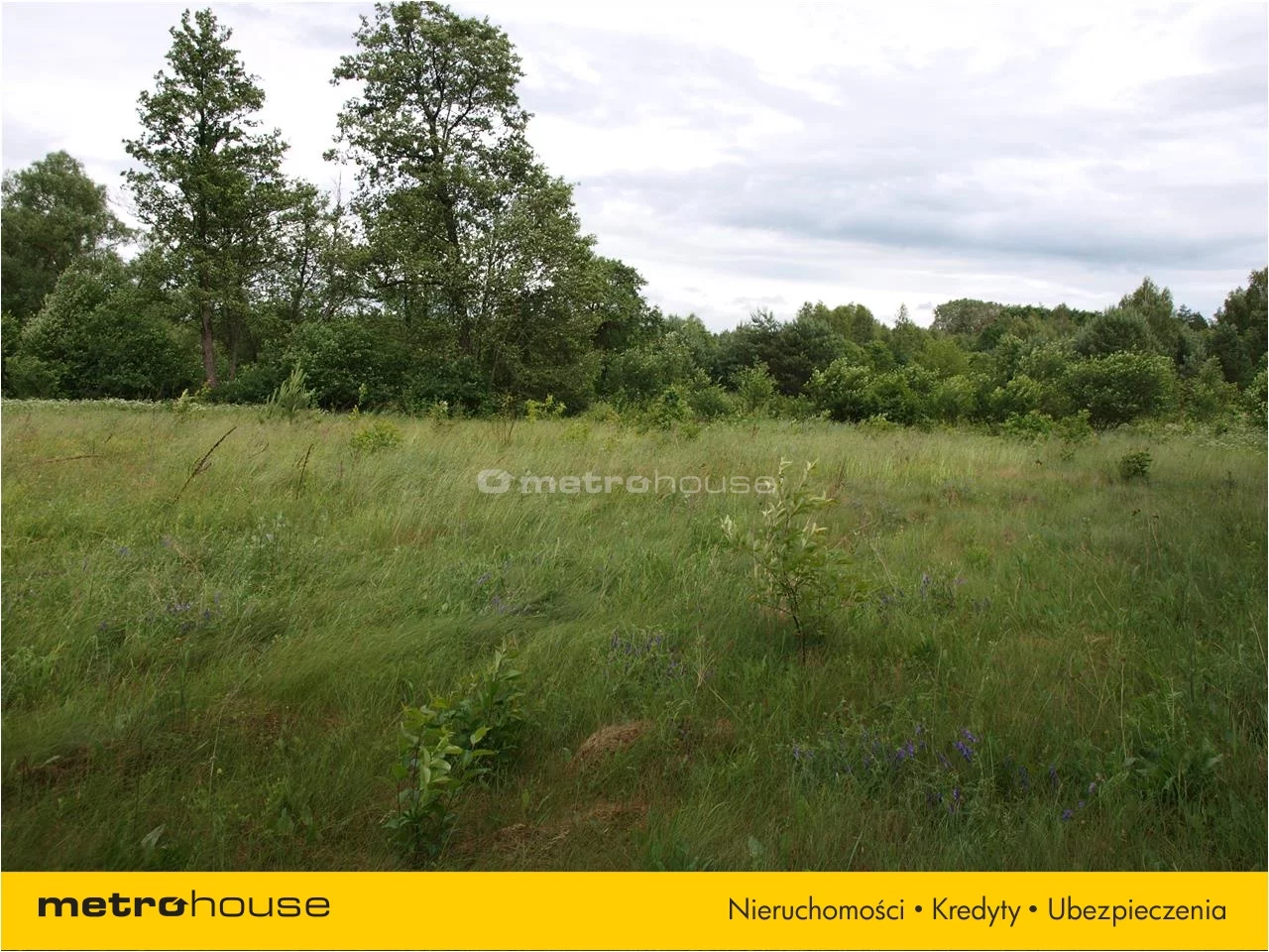 Działka 5 800,00 m², oferta nr , GEKE482, Grabie