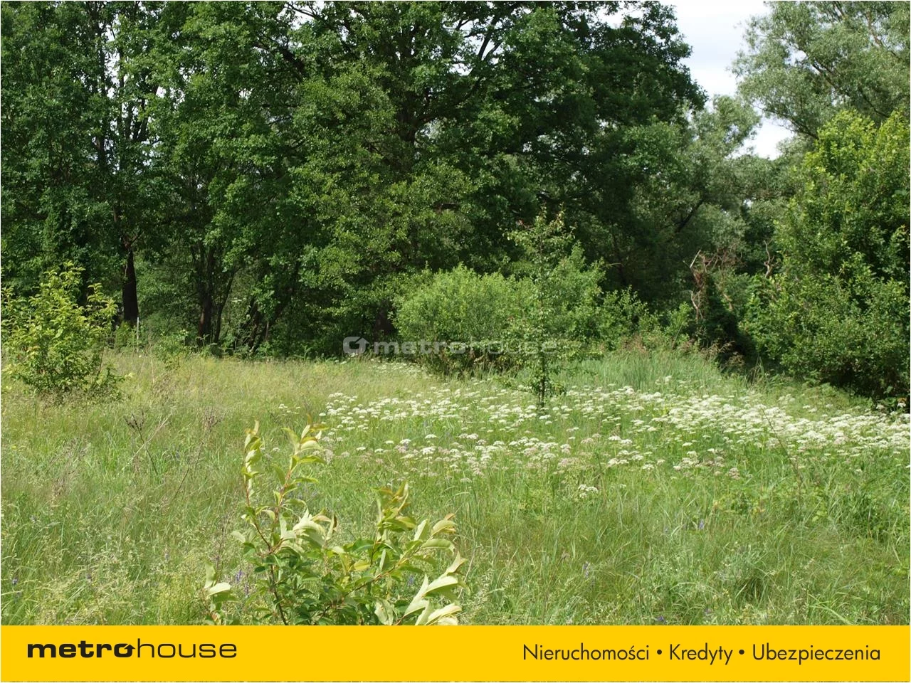 Działka 5 800,00 m², oferta nr , GEKE482, Grabie