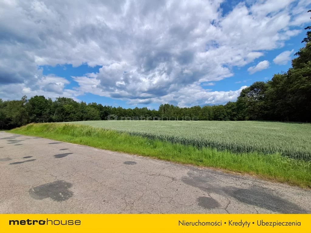 Działka 10 110,00 m², oferta nr , SGNOMU490, Grabówki