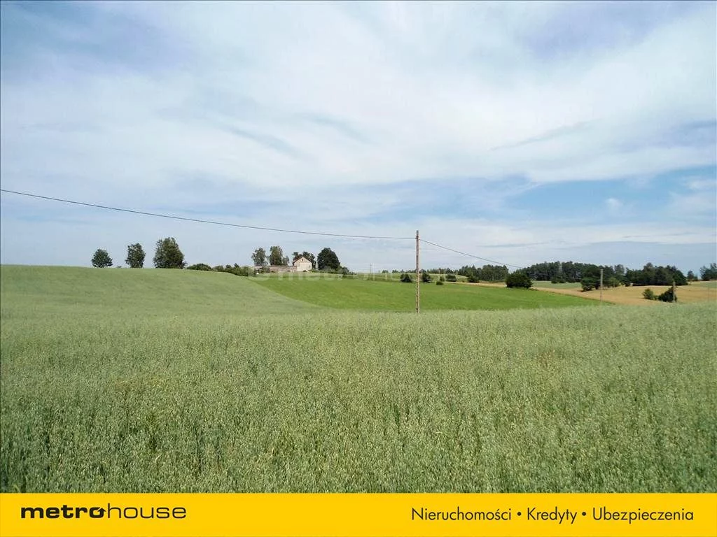 Działka 12 165,00 m², oferta nr , CICY106, Grabowska Huta