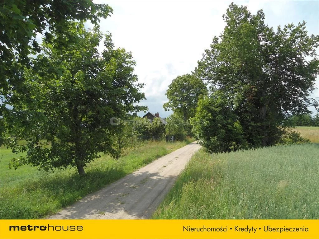 Działka 12 165,00 m², oferta nr , CICY106, Grabowska Huta