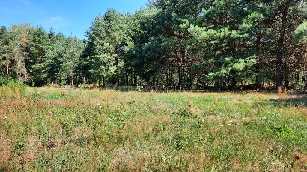 Działka 1 501,00 m², oferta nr , SGDULI615, Adamów-Wieś, Granica