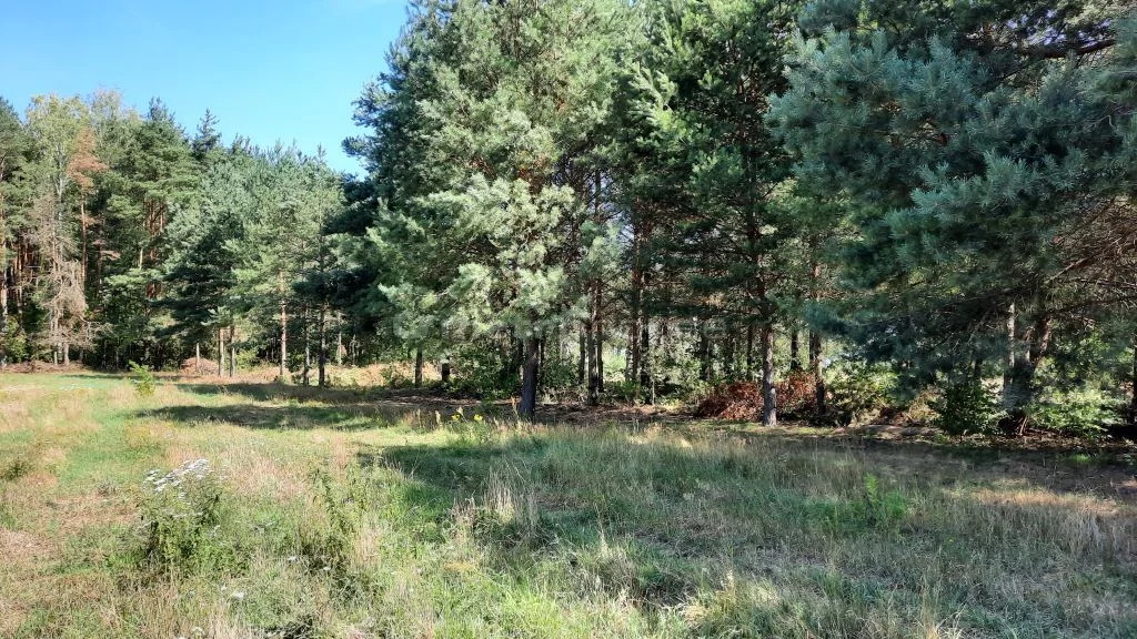 Działka 1 870,00 m², oferta nr , SGGAHE413, Adamów-Wieś, Granica