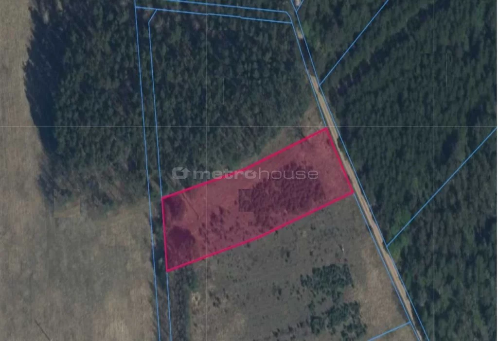 Działka 3 005,00 m², oferta nr , SGBULU995, Gąba, Graniczna