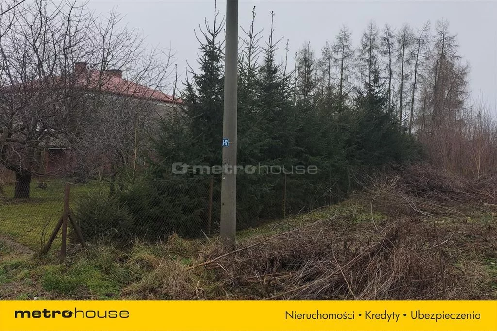 KUNA120 - zdjęcie nr 0