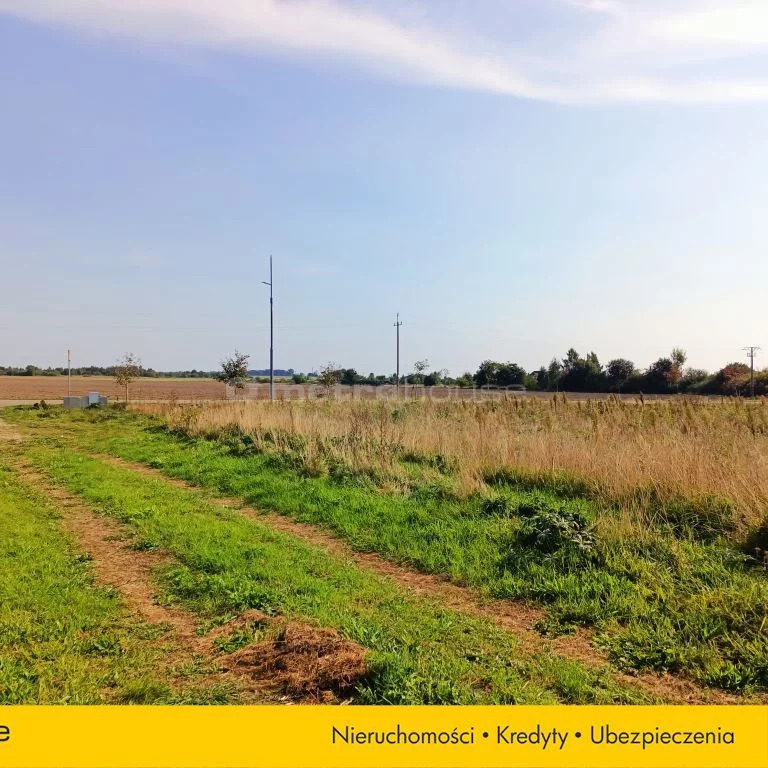 Działka 1 426,00 m², oferta nr , SGTOTO517, Bierkowo, Grodzka