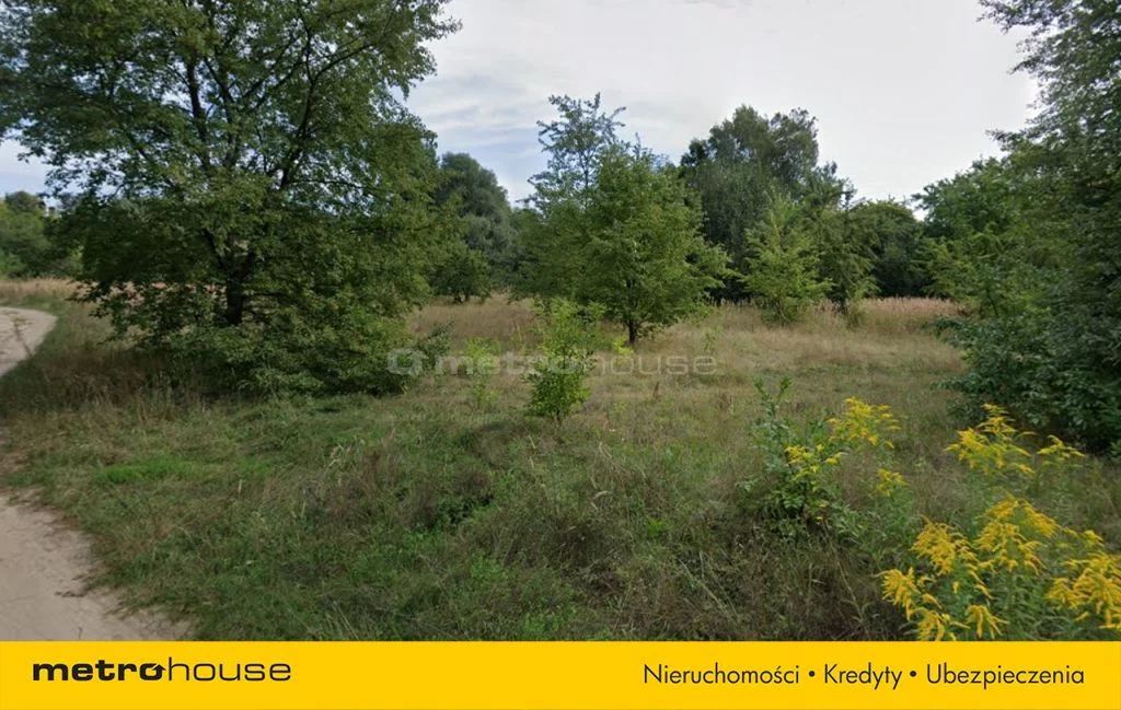 Działka 16 800,00 m², oferta nr , WOFY488, Gruszczyn