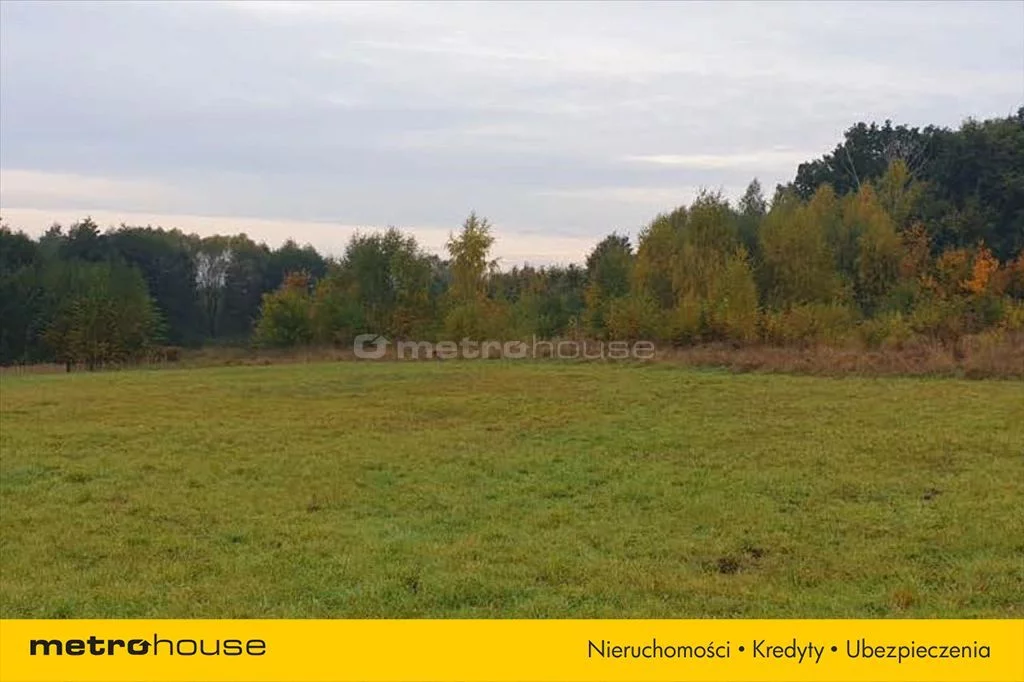 Działka 35 000,00 m², oferta nr , GOHI651, Gruszczyn