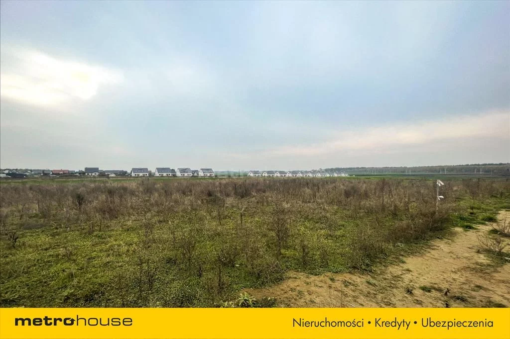 Działka 5 000,00 m², oferta nr , BOZI852, Grzędzice